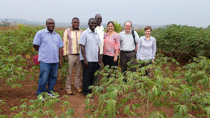 Laura team field cassava1