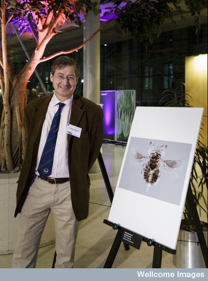 Wellcome awards 3