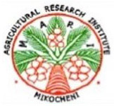 MARI logo