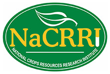 NaCRRI logo